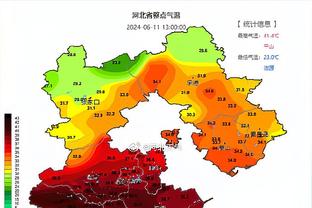 伊萨克本赛季已打进17球，追平伊布的瑞典球员英超单赛季进球纪录