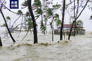 雷竞技网站搭建截图4